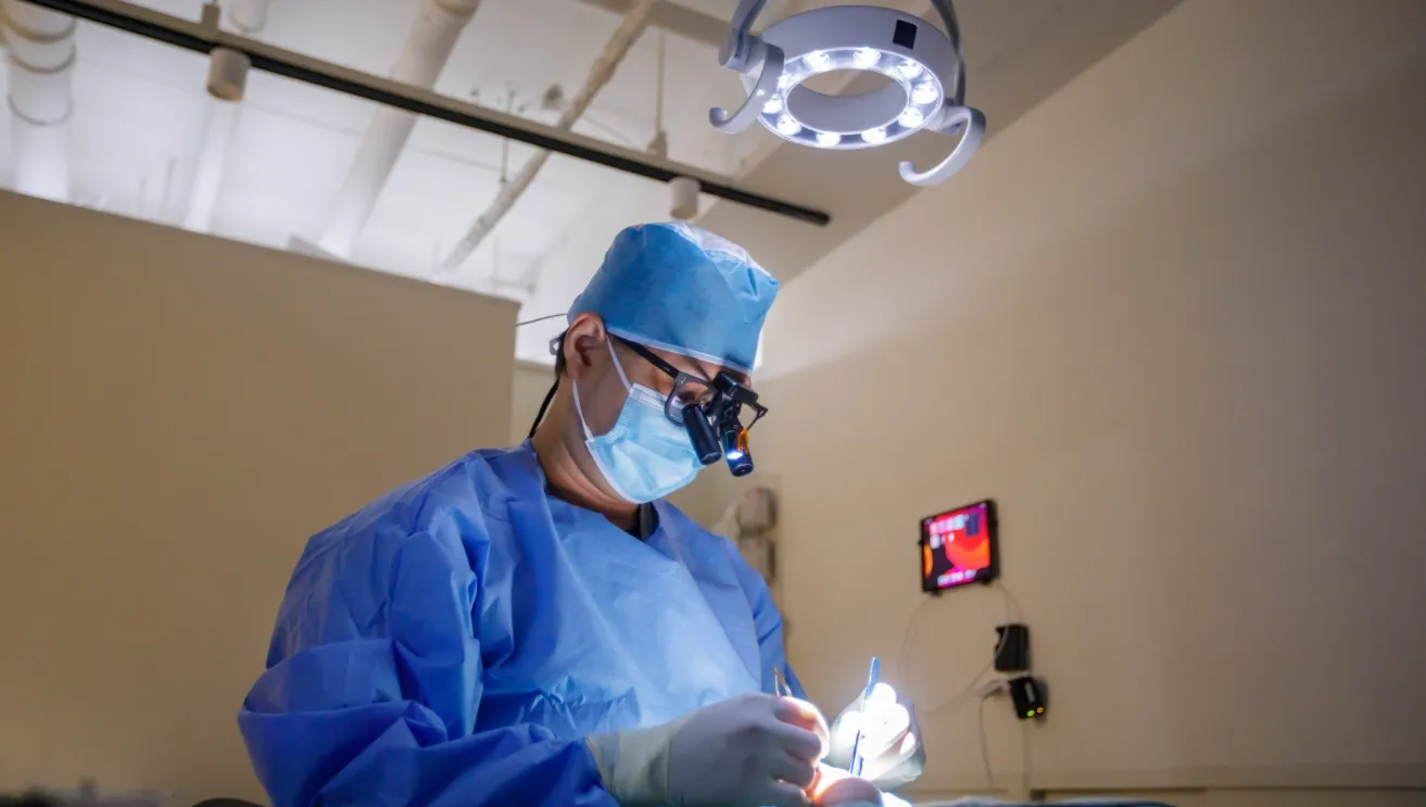 インプラント治療のイメージ