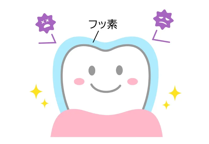 フッ素塗布のイメージ